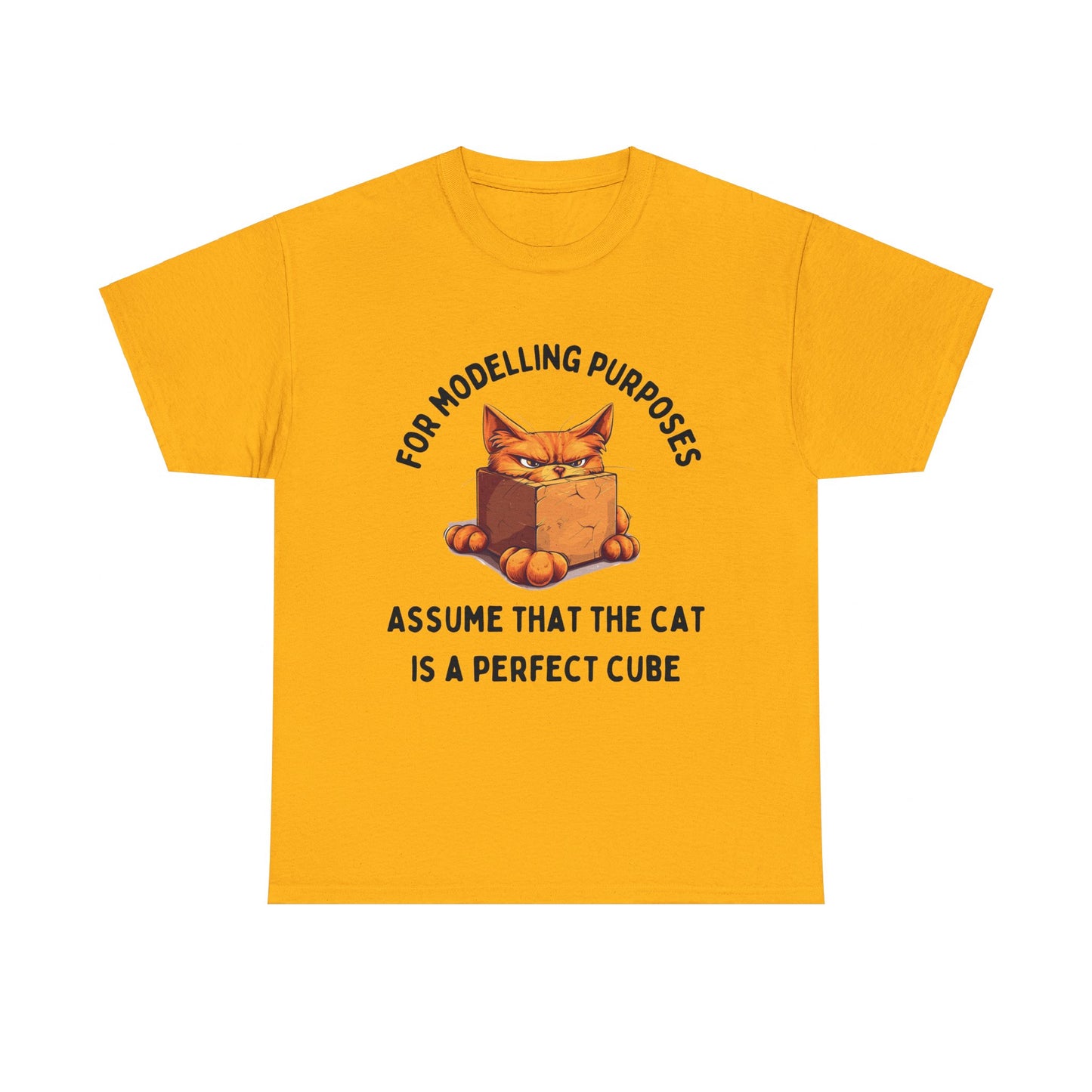 "For Modelling Purposes, Assume the Cat is a Perfect Cube" Unisex Heavy Cotton T-Shirt