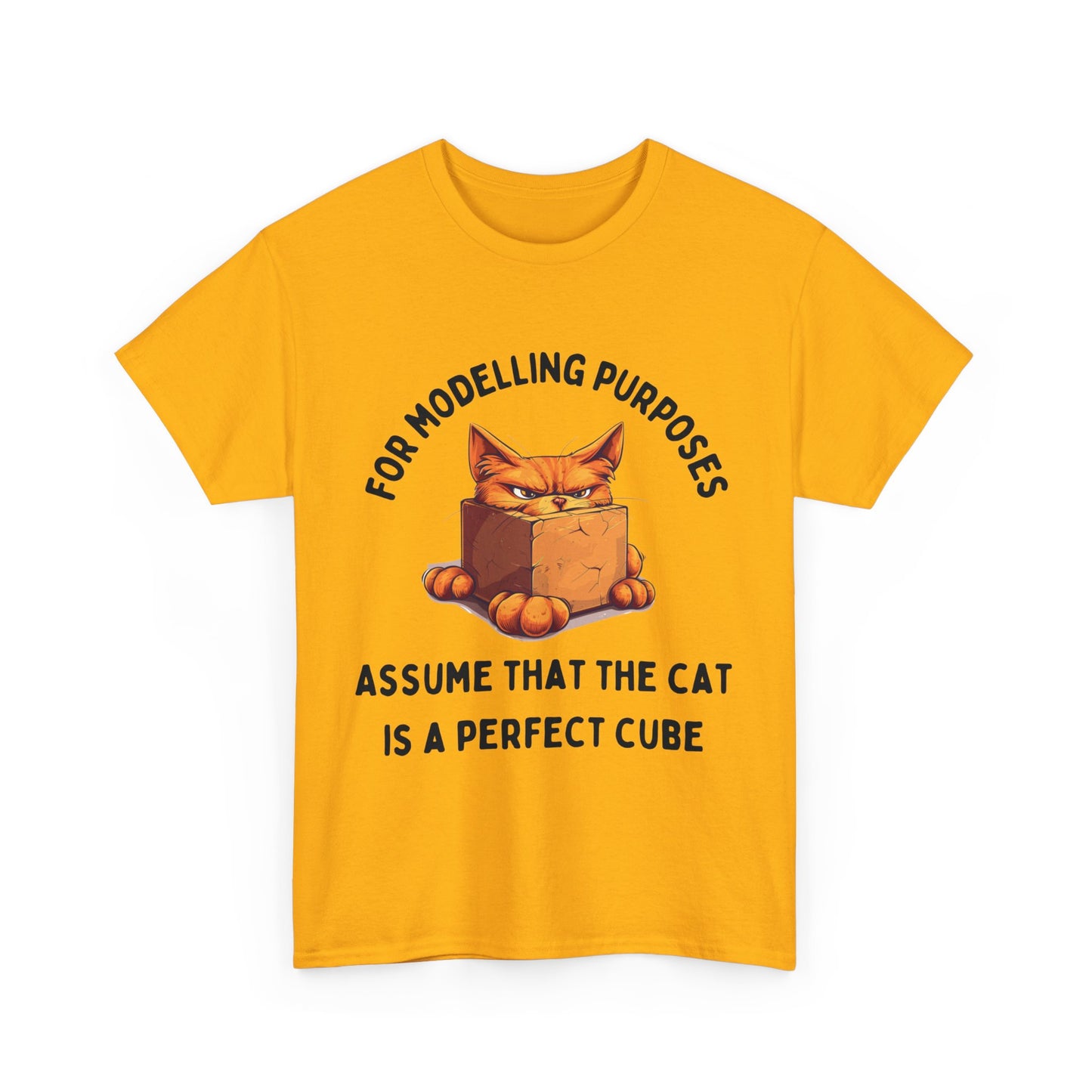 "For Modelling Purposes, Assume the Cat is a Perfect Cube" Unisex Heavy Cotton T-Shirt