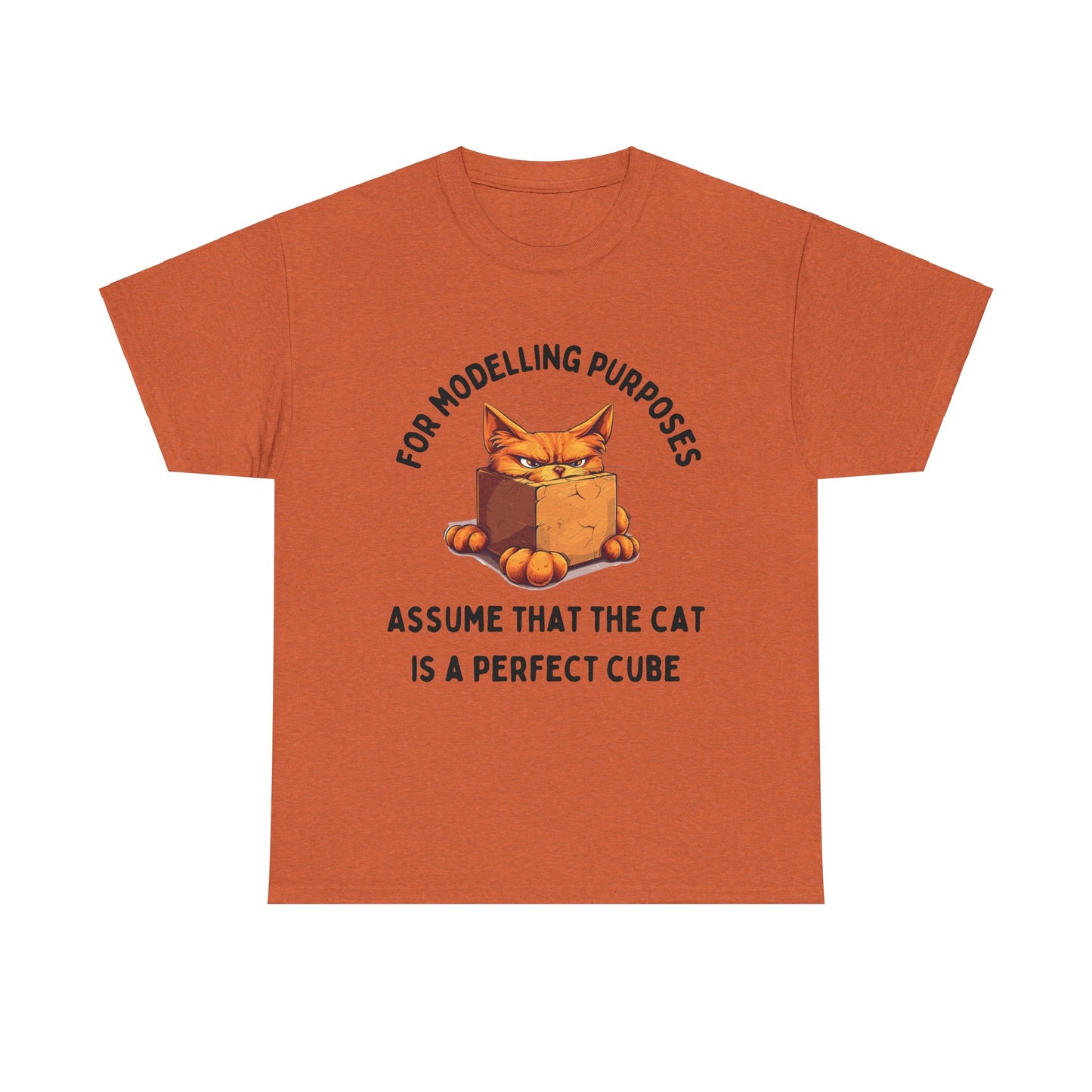 "For Modelling Purposes, Assume the Cat is a Perfect Cube" Unisex Heavy Cotton T-Shirt