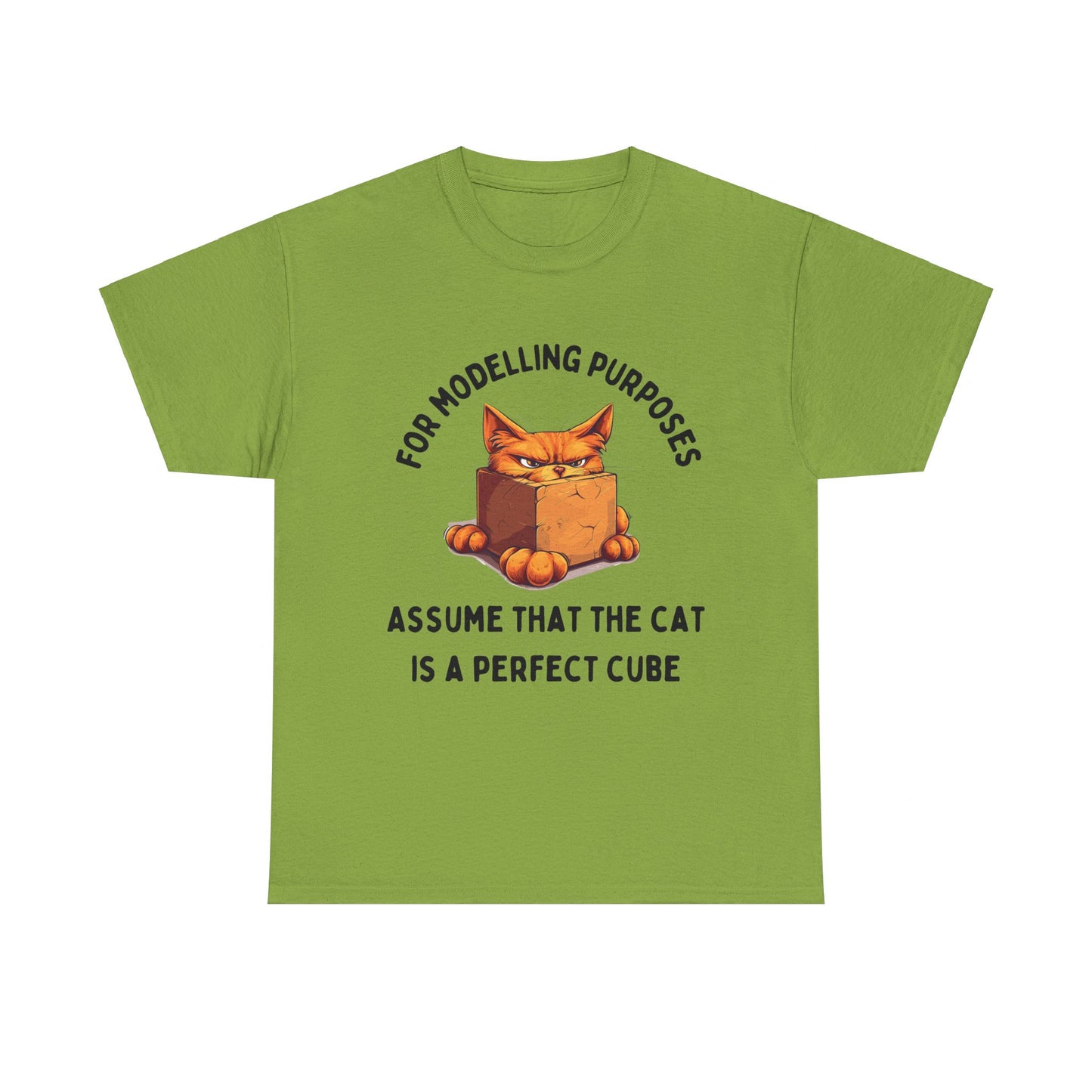 "For Modelling Purposes, Assume the Cat is a Perfect Cube" Unisex Heavy Cotton T-Shirt