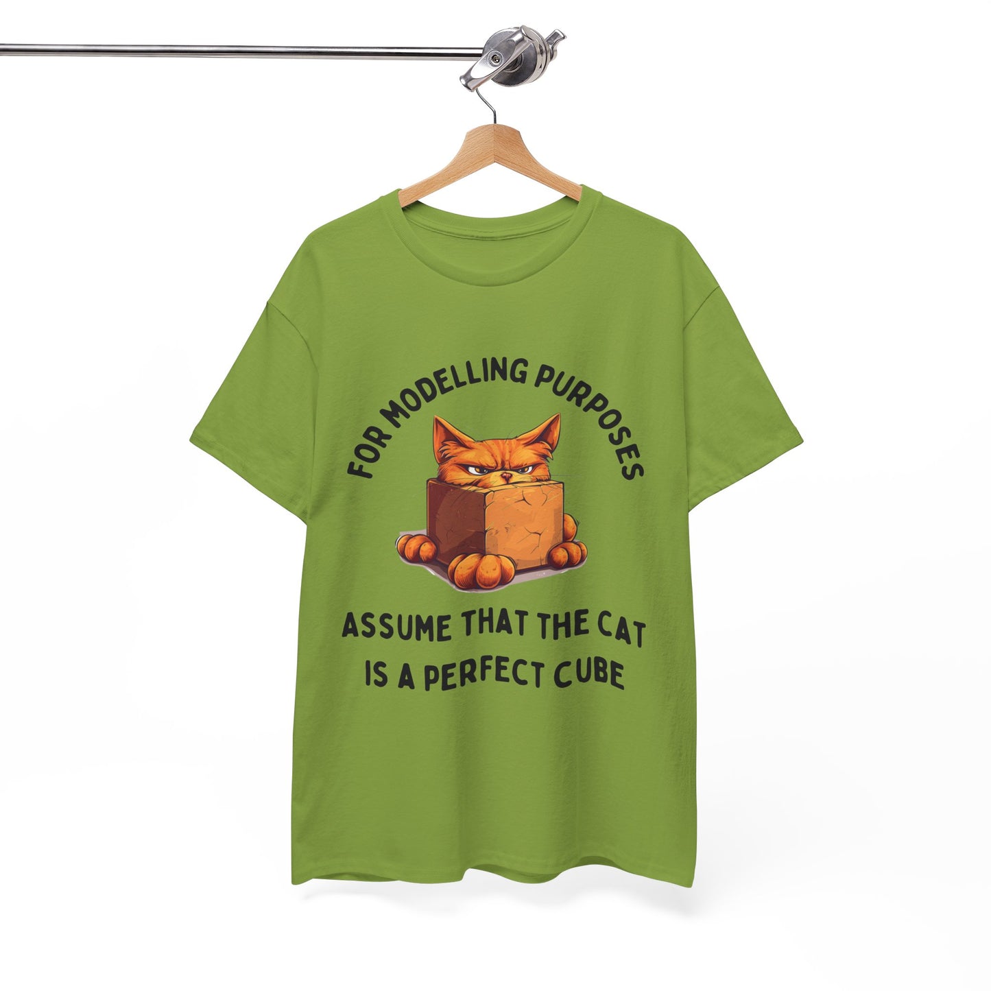 "For Modelling Purposes, Assume the Cat is a Perfect Cube" Unisex Heavy Cotton T-Shirt