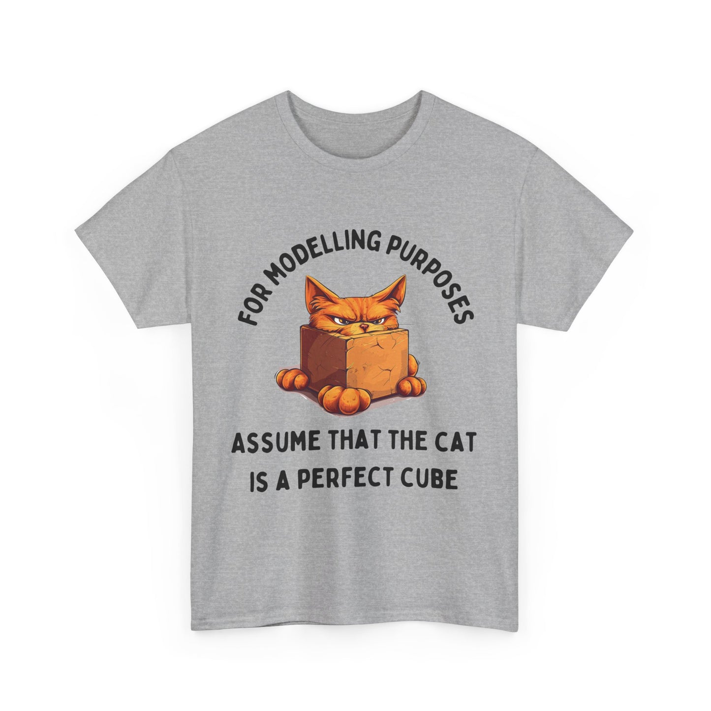 "For Modelling Purposes, Assume the Cat is a Perfect Cube" Unisex Heavy Cotton T-Shirt