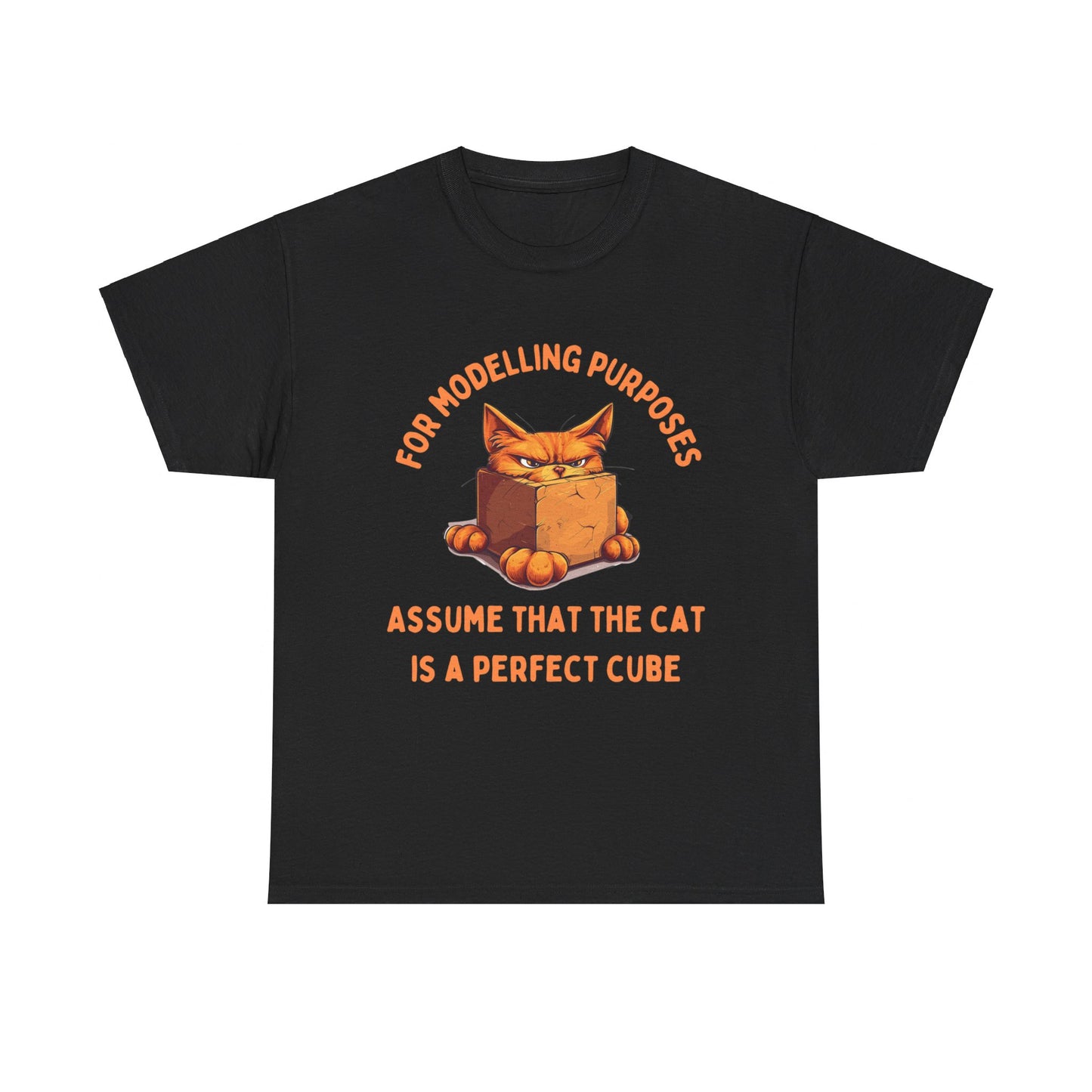 "For Modelling Purposes, Assume the Cat is a Perfect Cube" Unisex Heavy Cotton T-Shirt