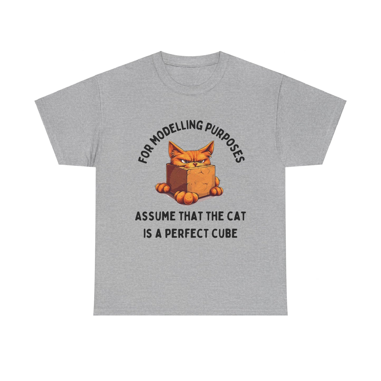 "For Modelling Purposes, Assume the Cat is a Perfect Cube" Unisex Heavy Cotton T-Shirt