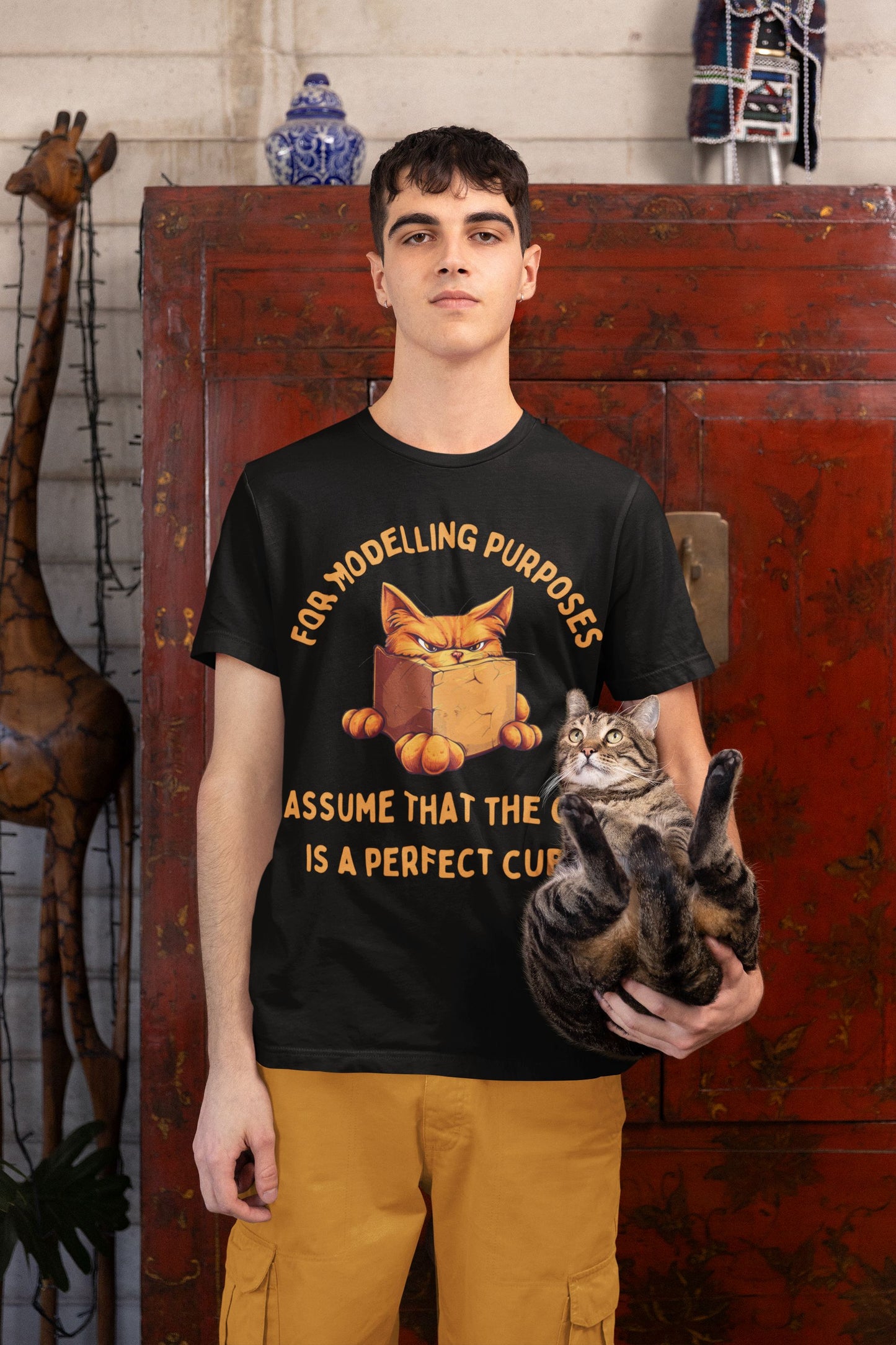 "For Modelling Purposes, Assume the Cat is a Perfect Cube" T-Shirt – Men’s/Unisex Fit – Fun Maths Humour