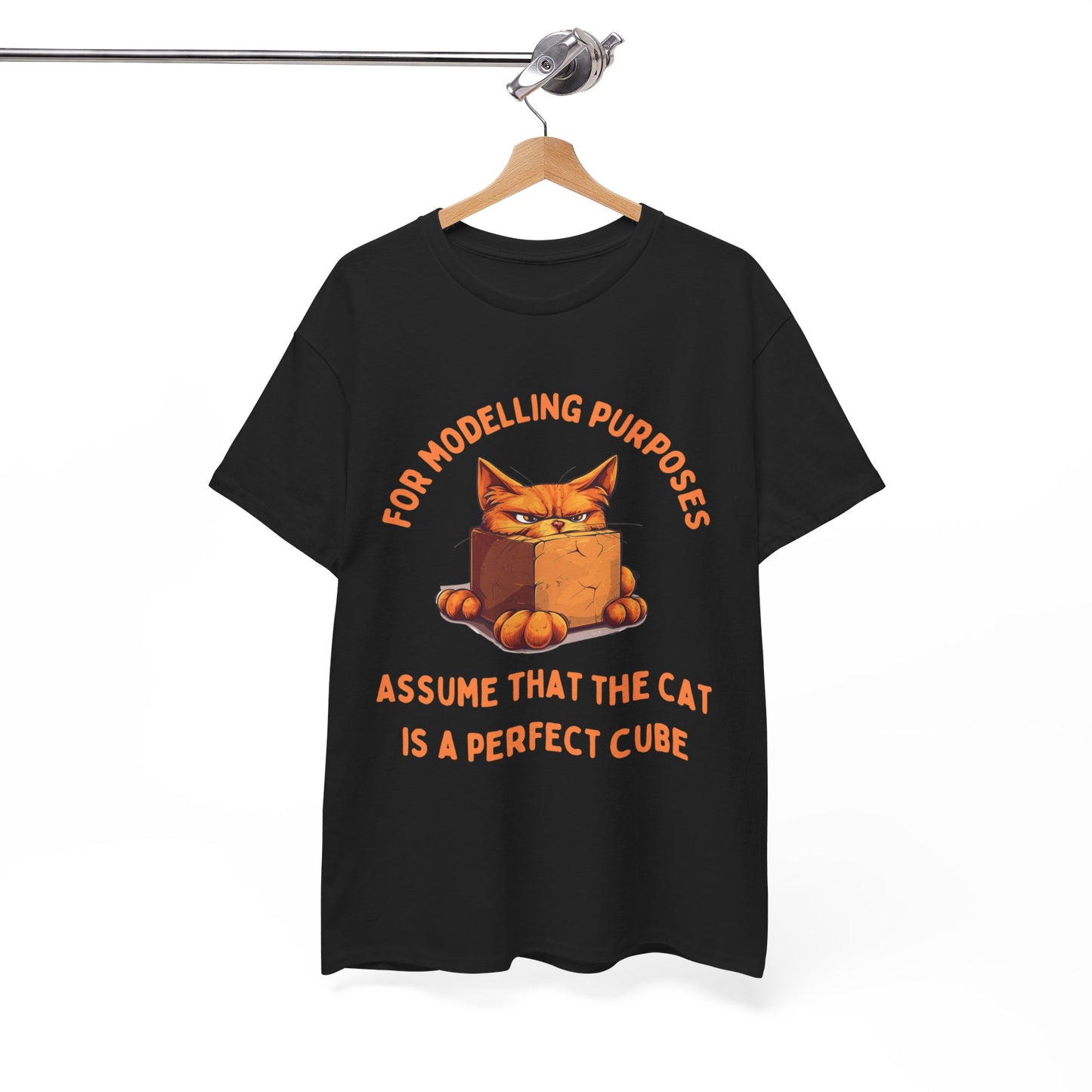 "For Modelling Purposes, Assume the Cat is a Perfect Cube" Unisex Heavy Cotton T-Shirt