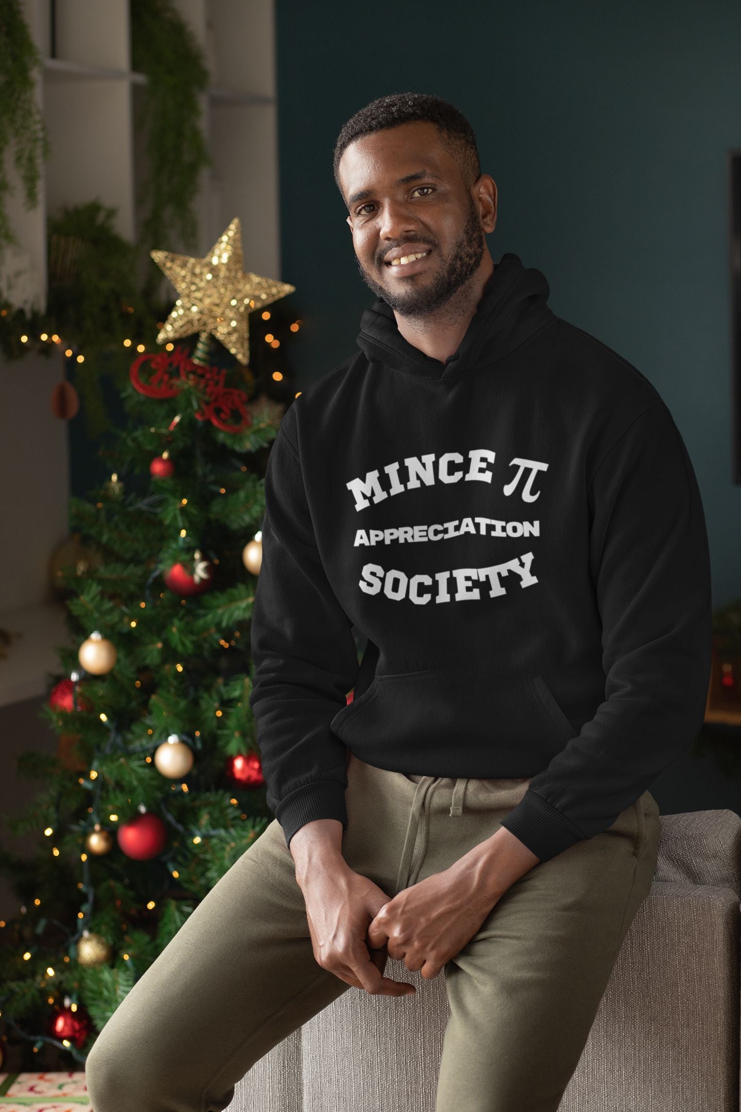 Mince Pi Appreciation Society Men's Christmas Maths Hoodie (Unisex)