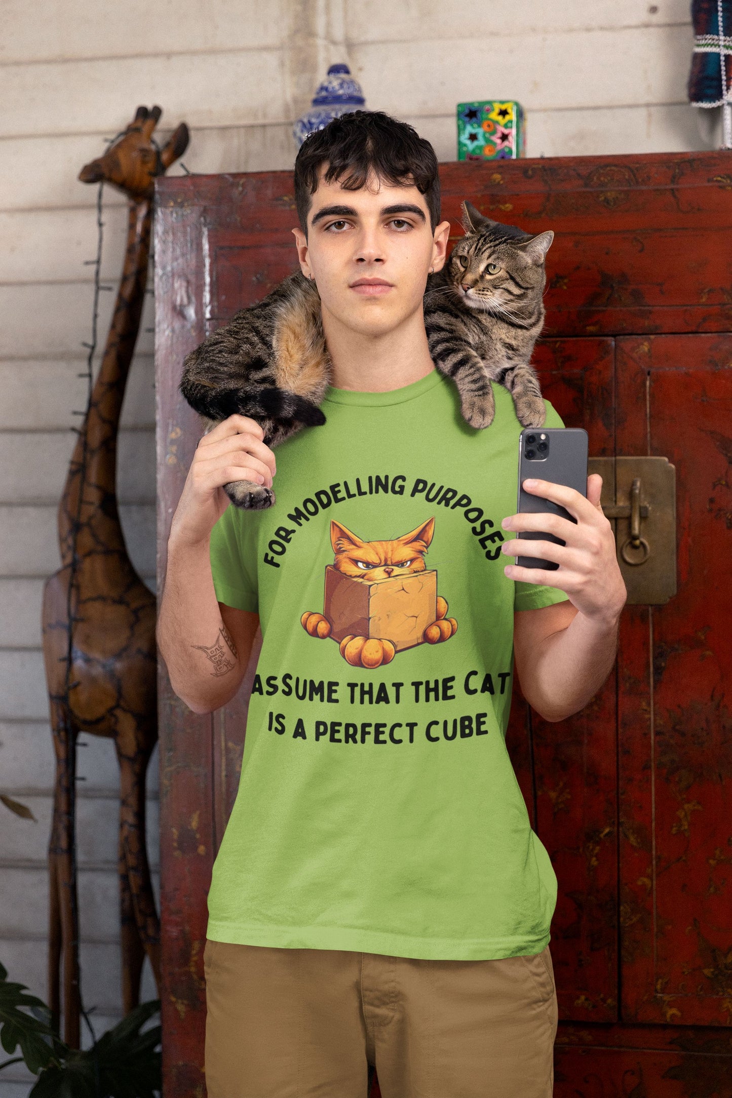 "For Modelling Purposes, Assume the Cat is a Perfect Cube" T-Shirt – Men’s/Unisex Fit – Fun Maths Humour