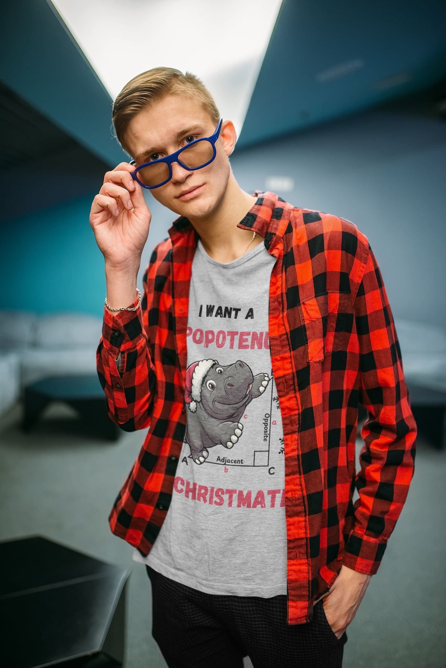 I Want a Hippopotenuse for Christmath: Festive T-Shirt for Maths Lovers