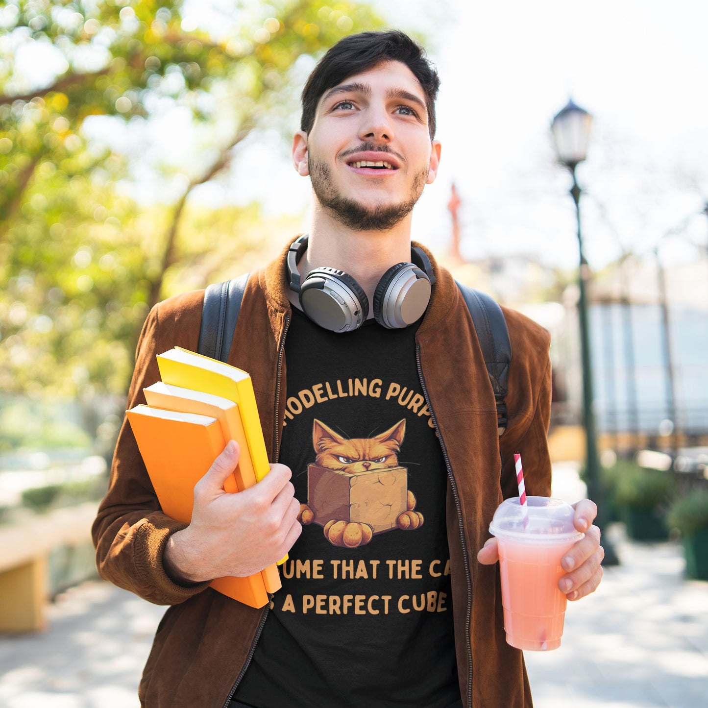 "For Modelling Purposes, Assume the Cat is a Perfect Cube" T-Shirt – Men’s/Unisex Fit – Fun Maths Humour