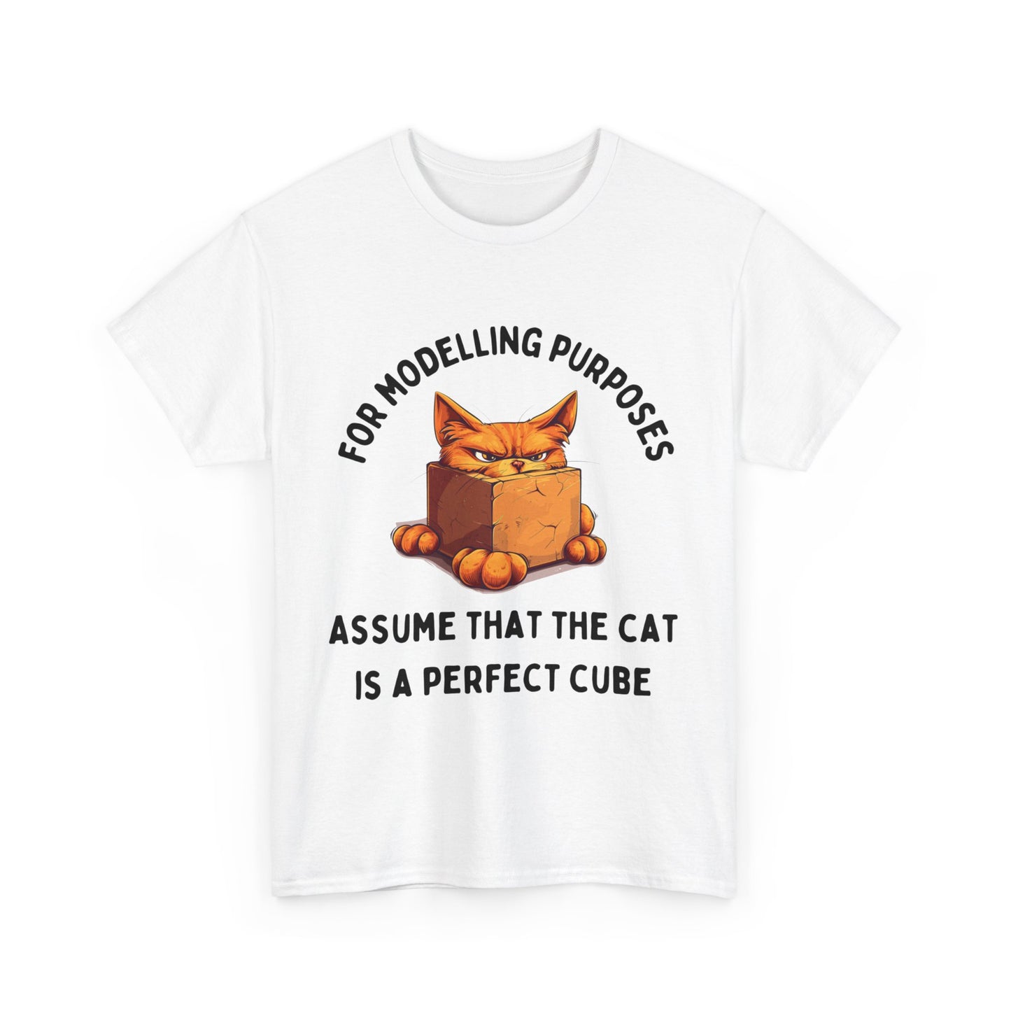 "For Modelling Purposes, Assume the Cat is a Perfect Cube" Unisex Heavy Cotton T-Shirt