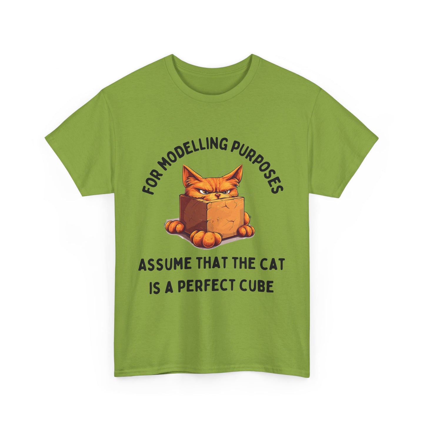 "For Modelling Purposes, Assume the Cat is a Perfect Cube" Unisex Heavy Cotton T-Shirt