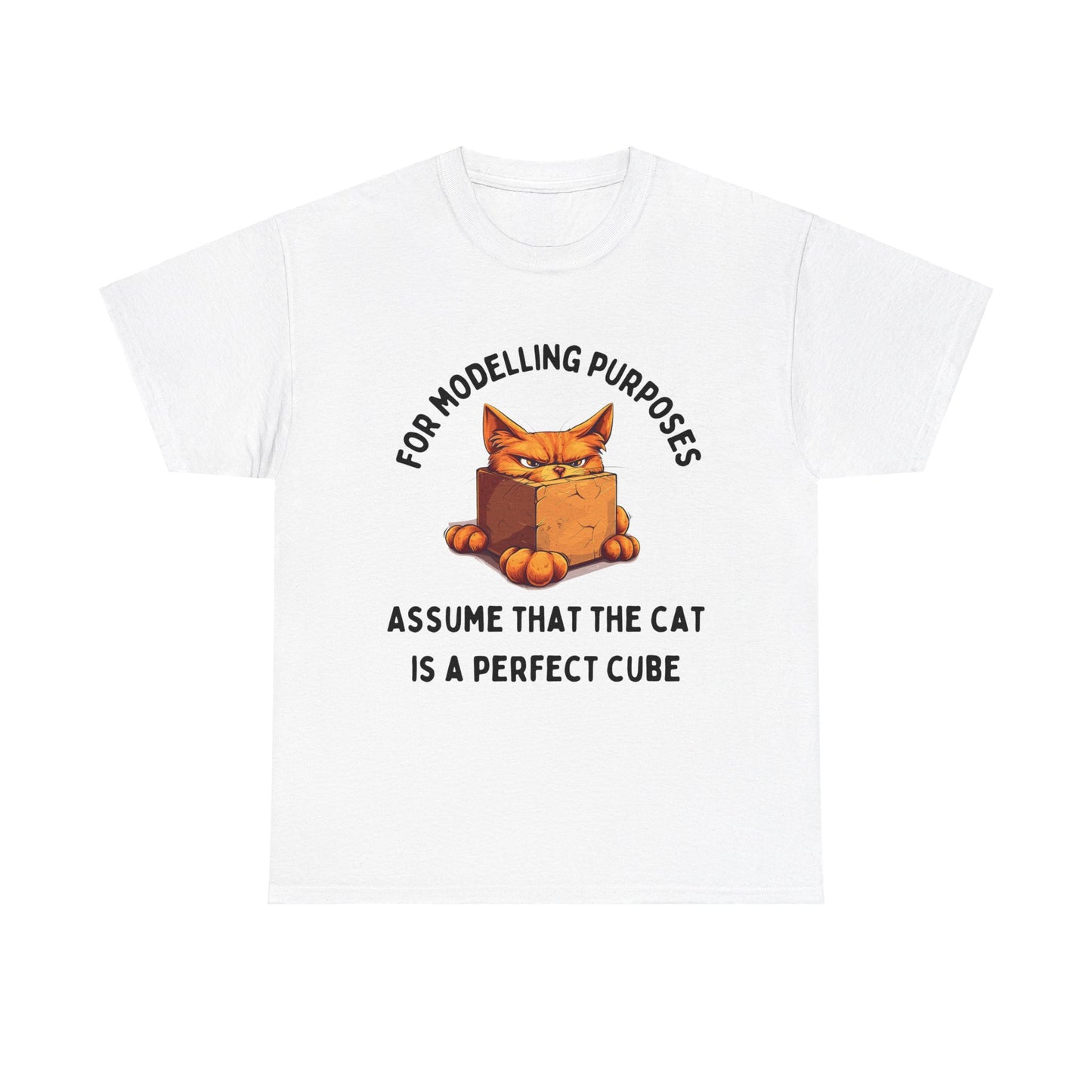 "For Modelling Purposes, Assume the Cat is a Perfect Cube" Unisex Heavy Cotton T-Shirt