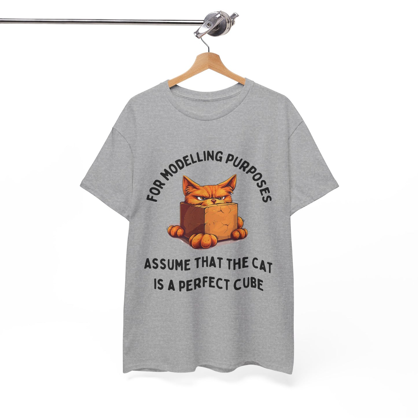 "For Modelling Purposes, Assume the Cat is a Perfect Cube" Unisex Heavy Cotton T-Shirt