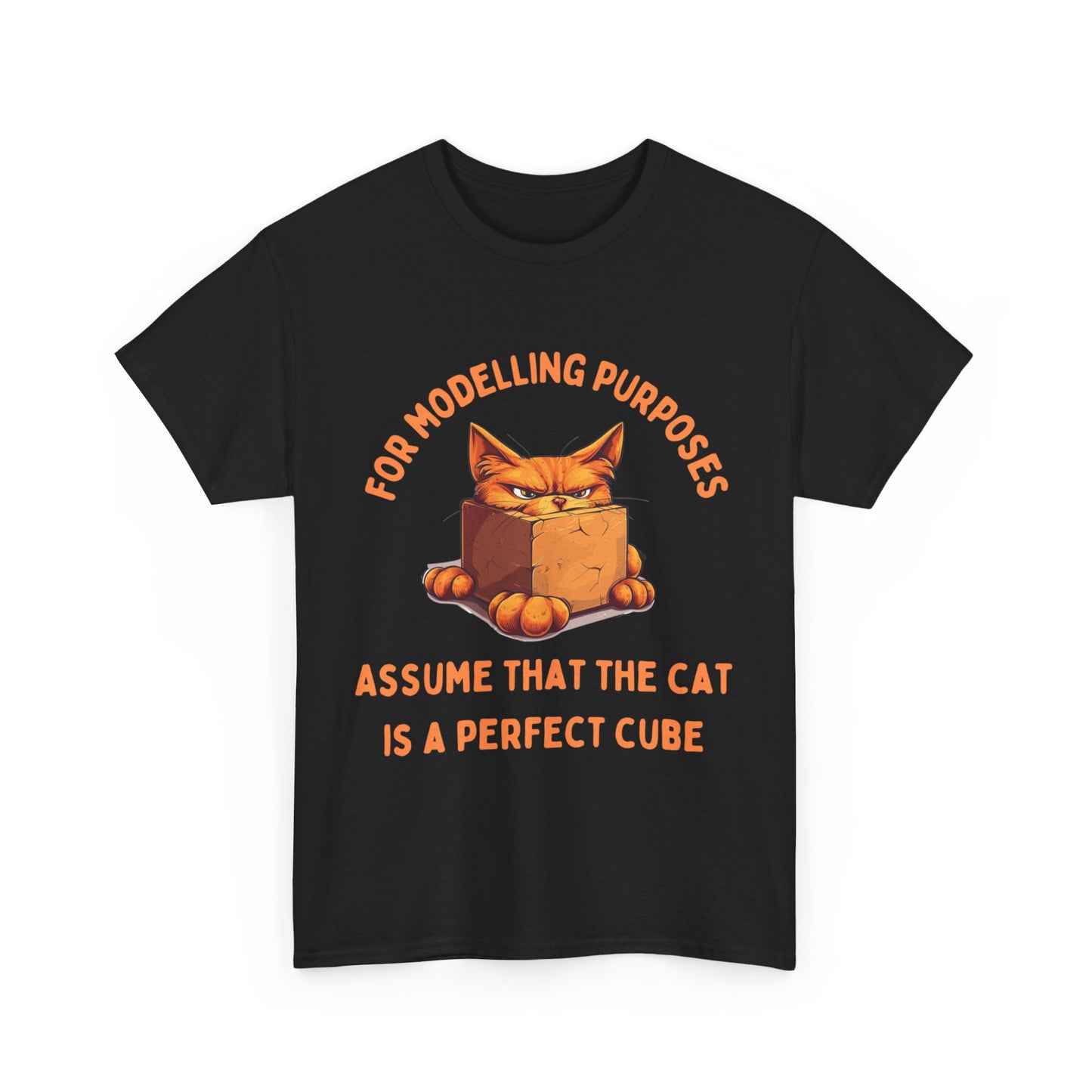 "For Modelling Purposes, Assume the Cat is a Perfect Cube" Unisex Heavy Cotton T-Shirt