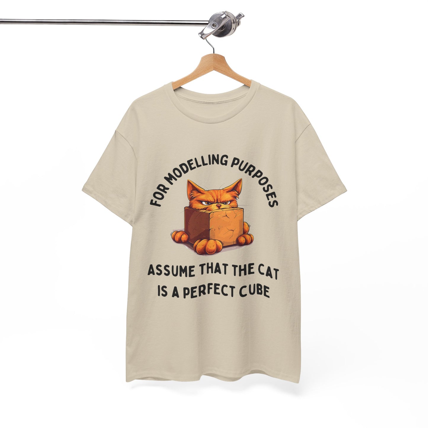 "For Modelling Purposes, Assume the Cat is a Perfect Cube" Unisex Heavy Cotton T-Shirt