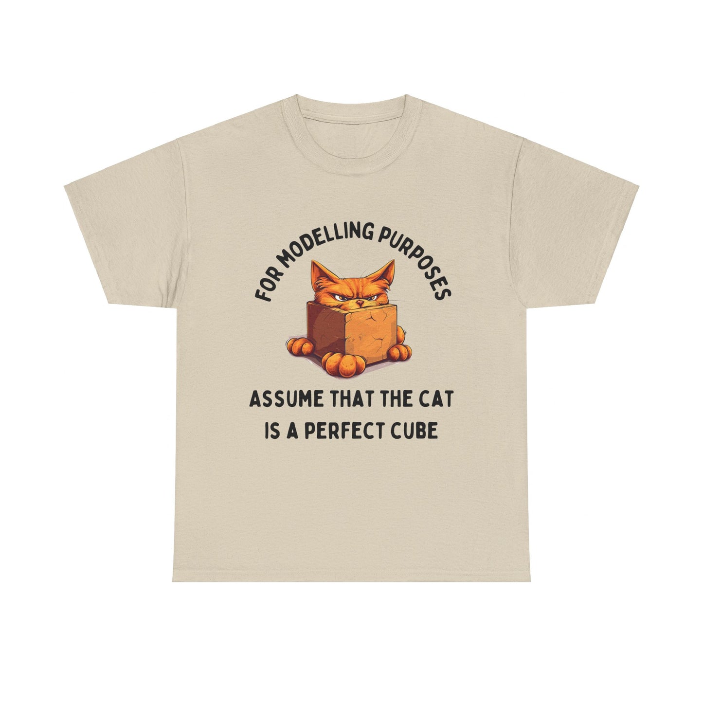 "For Modelling Purposes, Assume the Cat is a Perfect Cube" Unisex Heavy Cotton T-Shirt