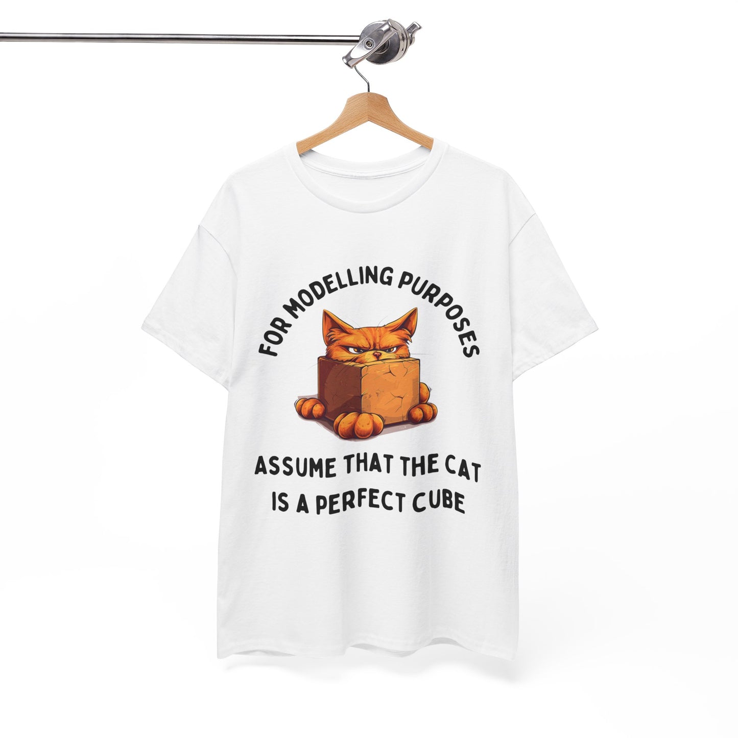 "For Modelling Purposes, Assume the Cat is a Perfect Cube" Unisex Heavy Cotton T-Shirt