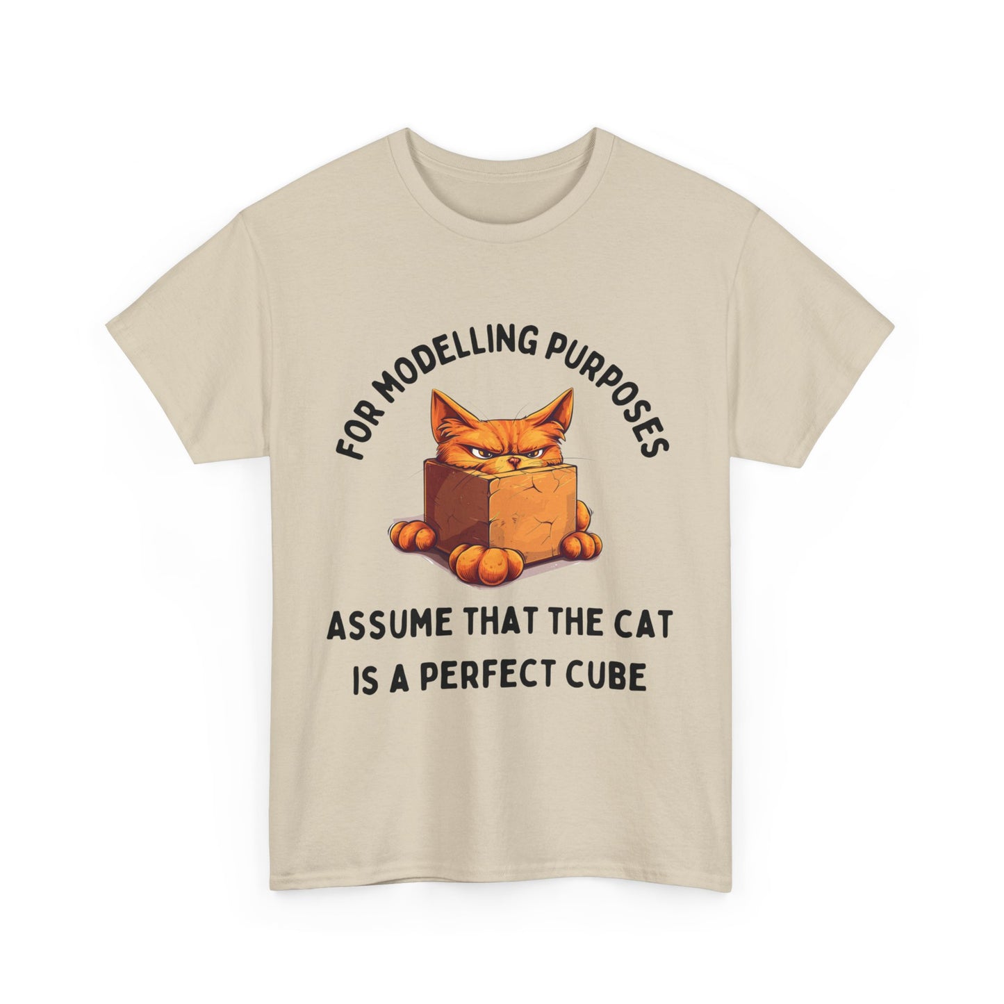 "For Modelling Purposes, Assume the Cat is a Perfect Cube" Unisex Heavy Cotton T-Shirt