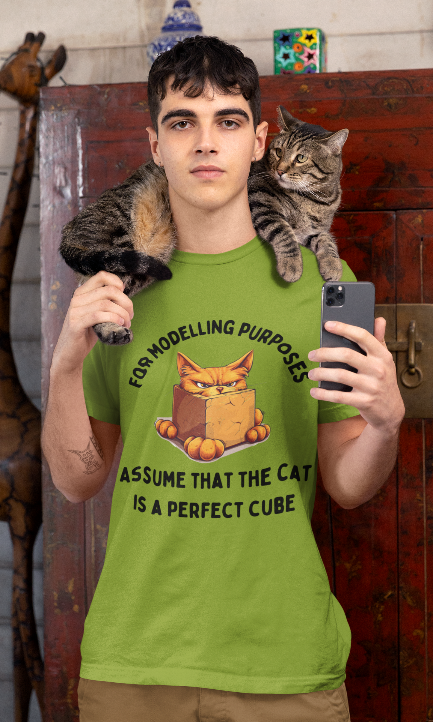 "For Modelling Purposes, Assume the Cat is a Perfect Cube" Unisex Heavy Cotton T-Shirt