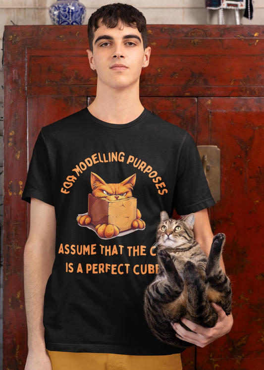 "For Modelling Purposes, Assume the Cat is a Perfect Cube" Unisex Heavy Cotton T-Shirt