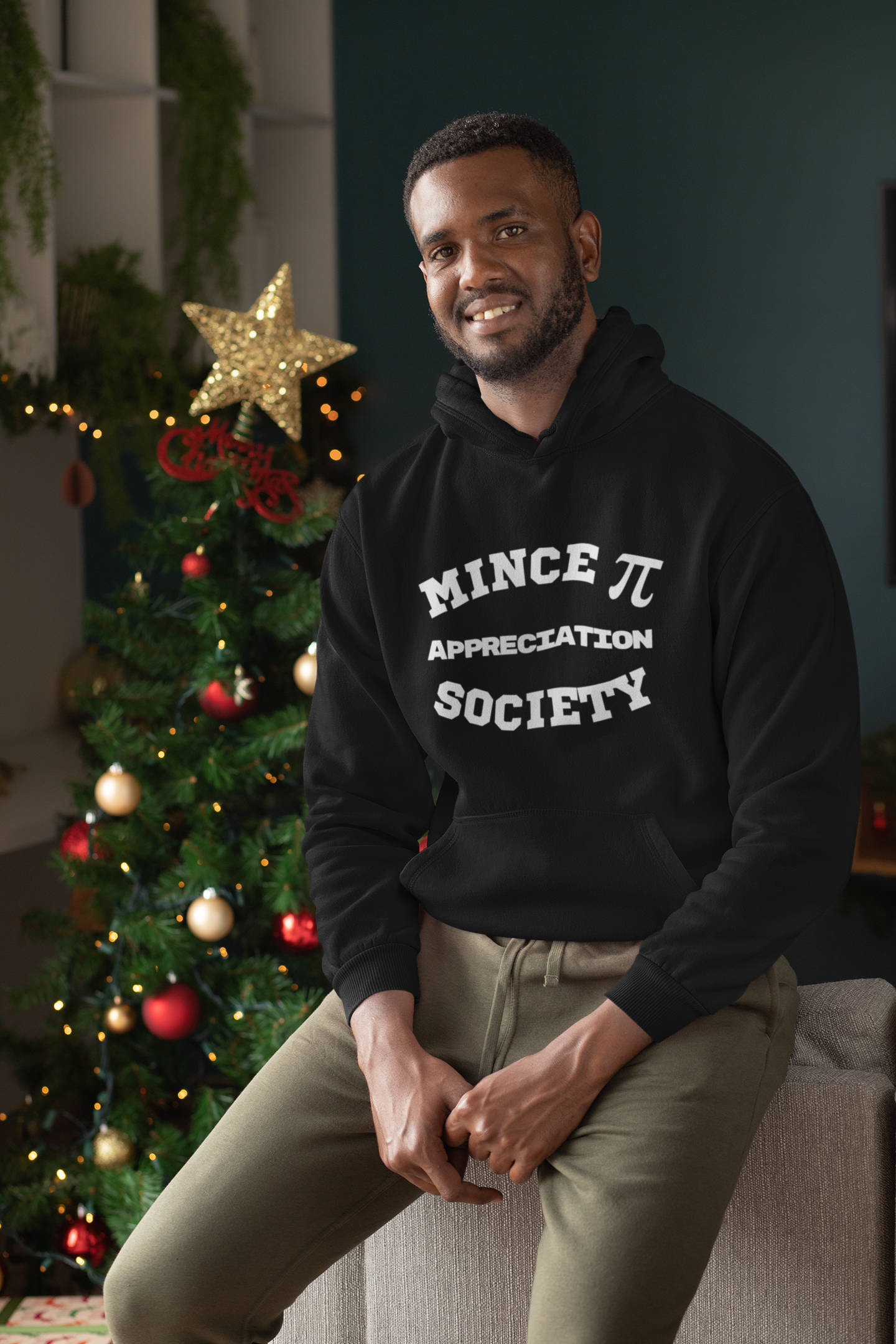 Mince Pi Appreciation Society Hoodie – The Perfect Festive Gift for Maths Lovers