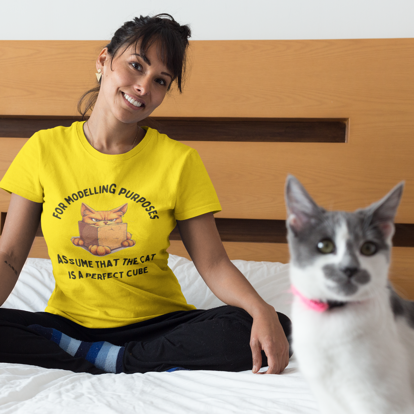 "For Modelling Purposes, Assume the Cat is a Perfect Cube" Unisex Heavy Cotton T-Shirt