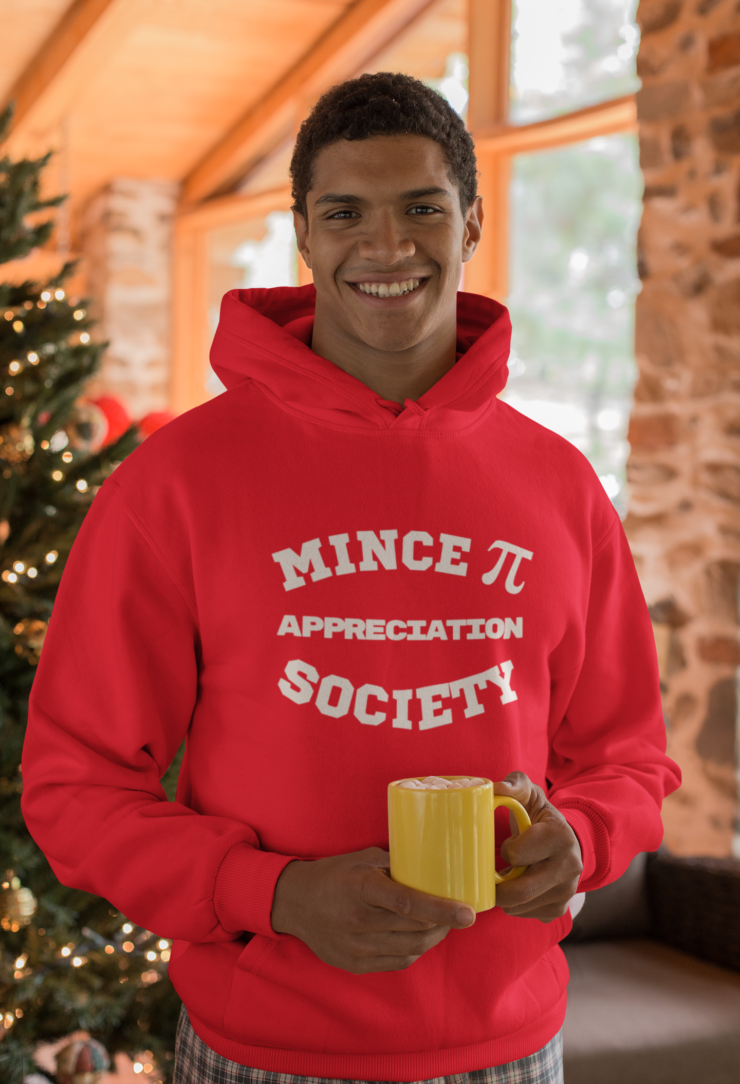 Mince Pi Appreciation Society Hoodie – The Perfect Festive Gift for Maths Lovers