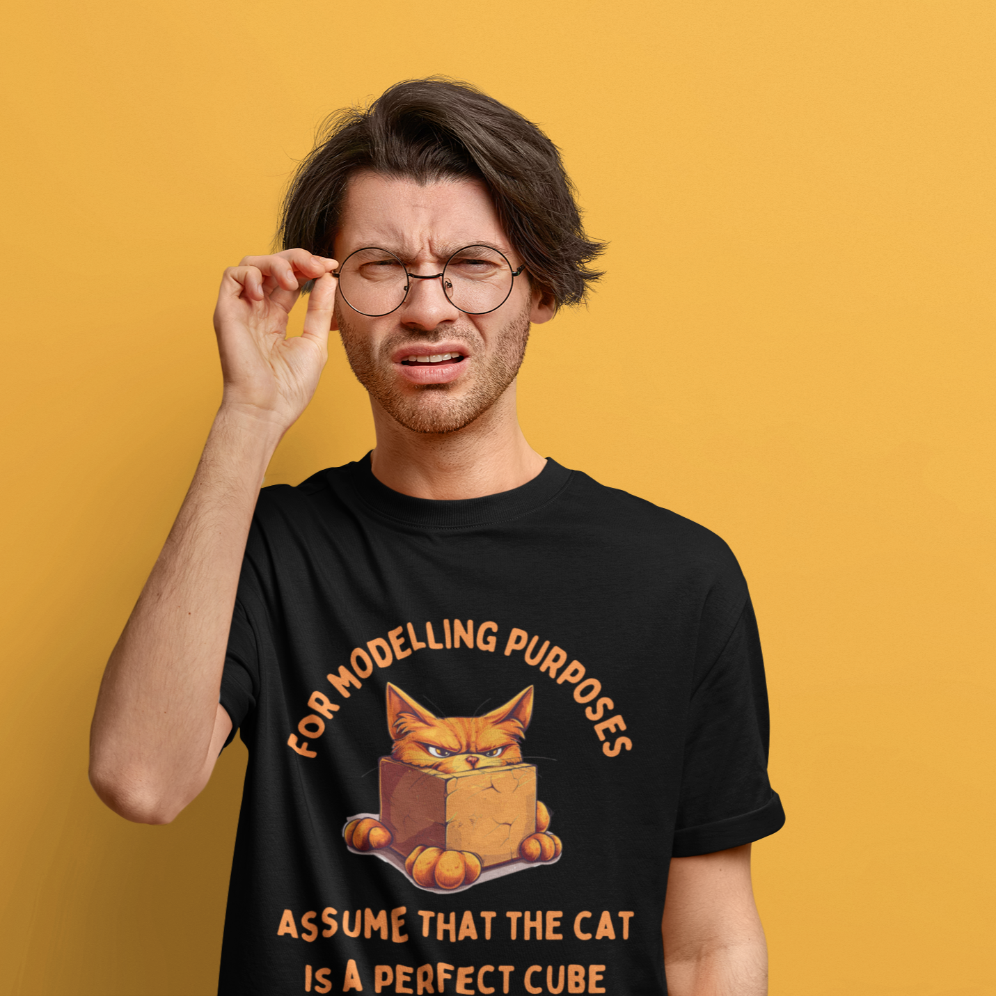 "For Modelling Purposes, Assume the Cat is a Perfect Cube" Unisex Heavy Cotton T-Shirt