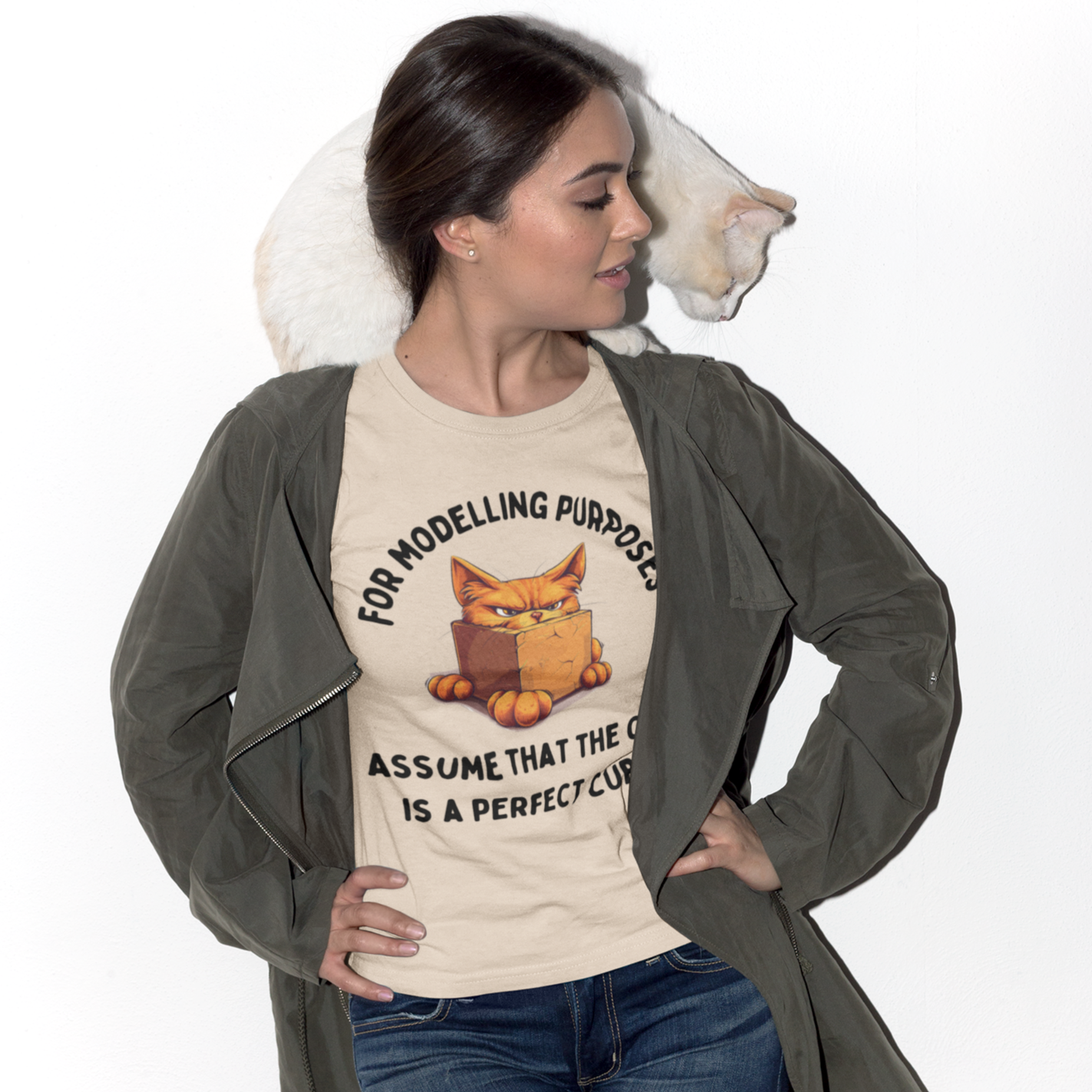 "For Modelling Purposes, Assume the Cat is a Perfect Cube" Unisex Heavy Cotton T-Shirt